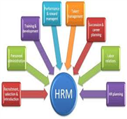 New Managers Toolkit to Instant HR Proficiency